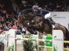 jumper Quickstep WL (Danish Warmblood, 2012, from Quintender 2)