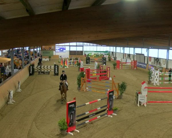Reitturnier Borgholzhausen-Westbarthausen 2024