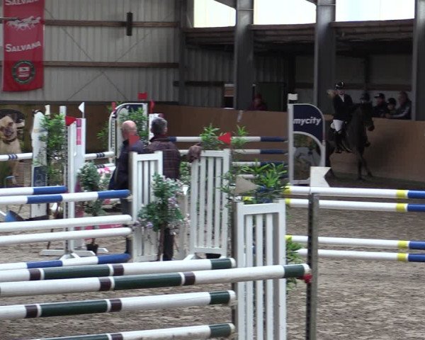 Reitturnier Schlieckau 2024