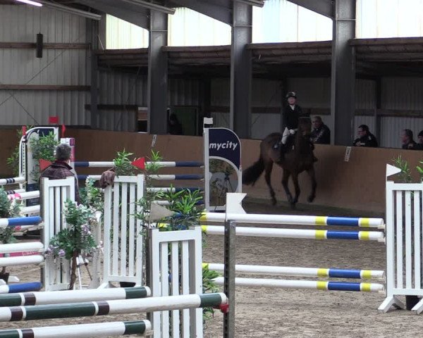 Reitturnier Schlieckau 2024