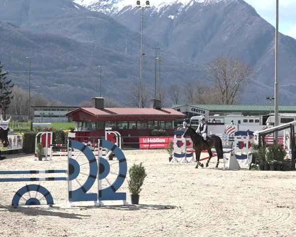 Reitturnier Giubiasco 2024