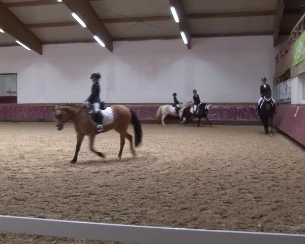 Reitturnier Eicherloh RH Laurent/Obb. 2024
