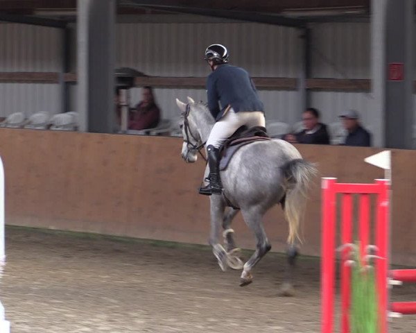 Reitturnier Schlieckau 2024