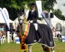 dressage horse Perano (Trakehner, 2011, from Hofrat)