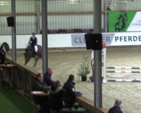 Reitturnier Goch 2024