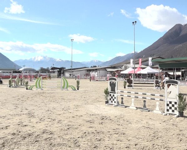 Reitturnier Giubiasco 2024