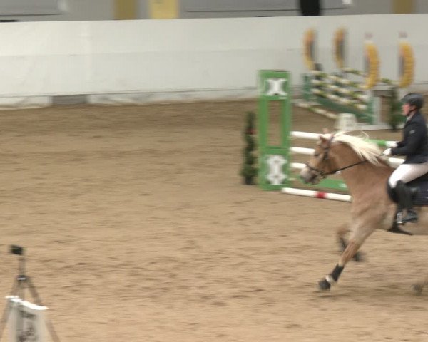 Reitturnier Stadl-Paura 2024