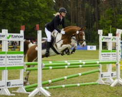 jumper Nemo 171 (German Riding Pony, 2004, from Nebor)