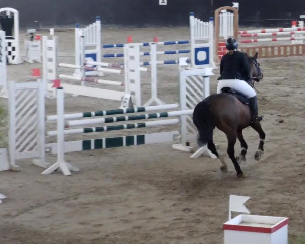 Reitturnier Weil der Stadt 2024
