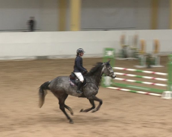 Reitturnier Stadl-Paura 2024