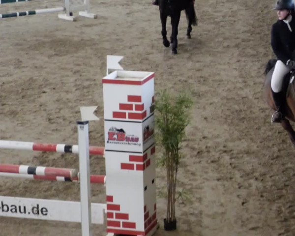 Reitturnier Weil der Stadt 2024