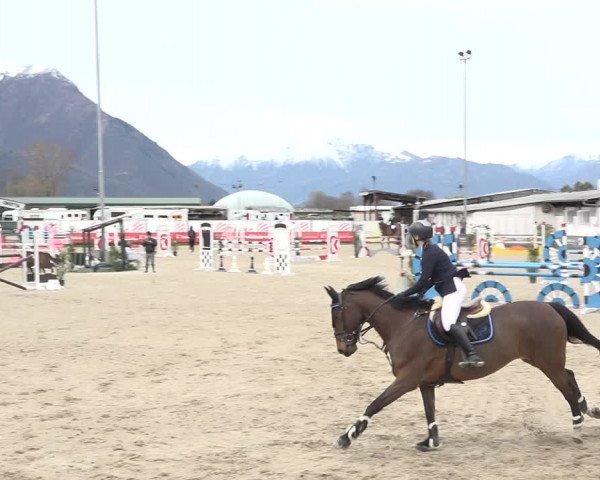 Reitturnier Giubiasco 2024