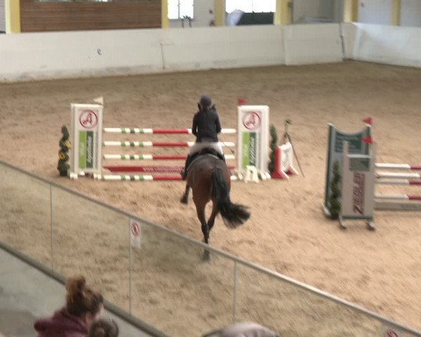Reitturnier Stadl-Paura 2024