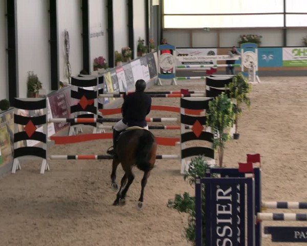 Reitturnier Borken 2024