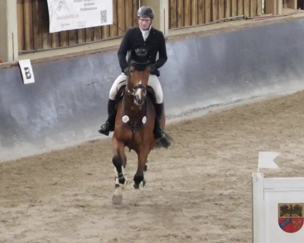 Reitturnier Weil der Stadt 2024