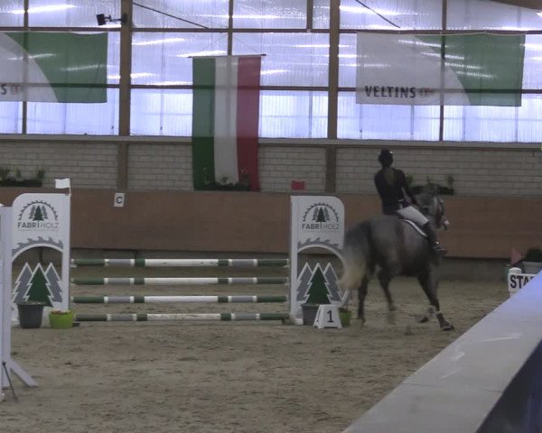 Reitturnier Hellefeld 2024