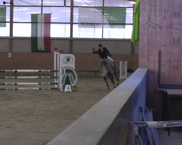 Reitturnier Hellefeld 2024