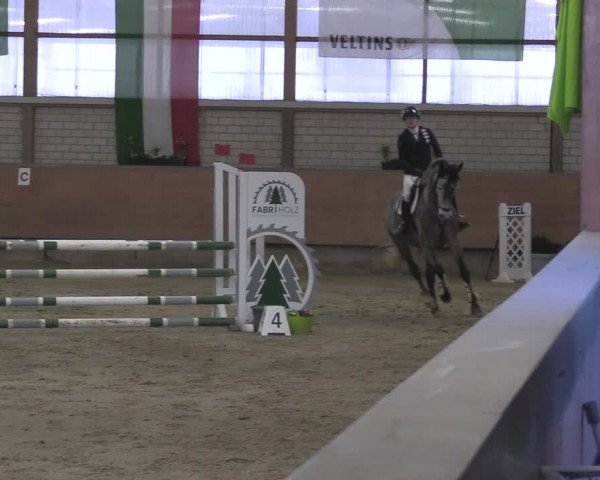 Reitturnier Hellefeld 2024