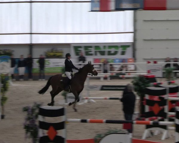 Reitturnier Borken 2024
