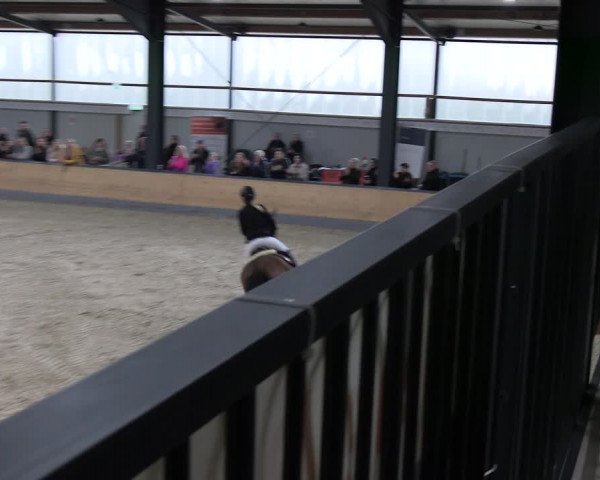 Reitturnier Borken 2024