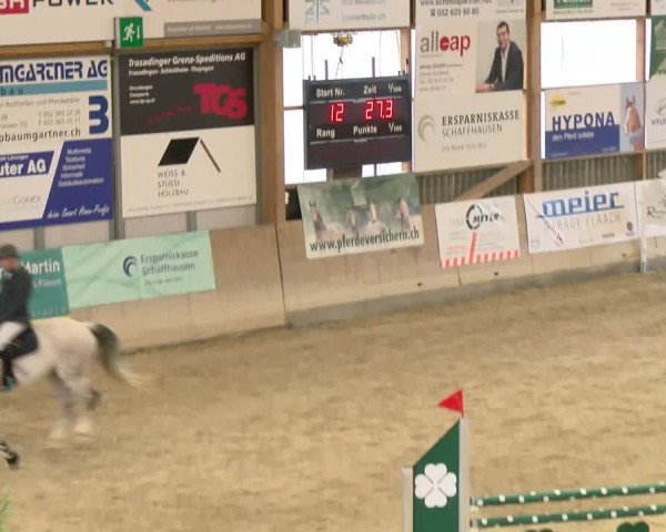 Reitturnier Schaffhausen 2024