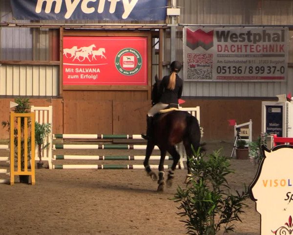 Reitturnier Schlieckau 2024