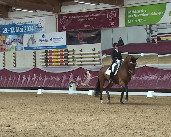 Reitturnier Eicherloh RH Laurent/Obb. 2024