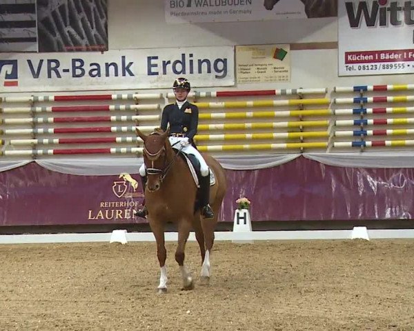 Reitturnier Eicherloh RH Laurent/Obb. 2024