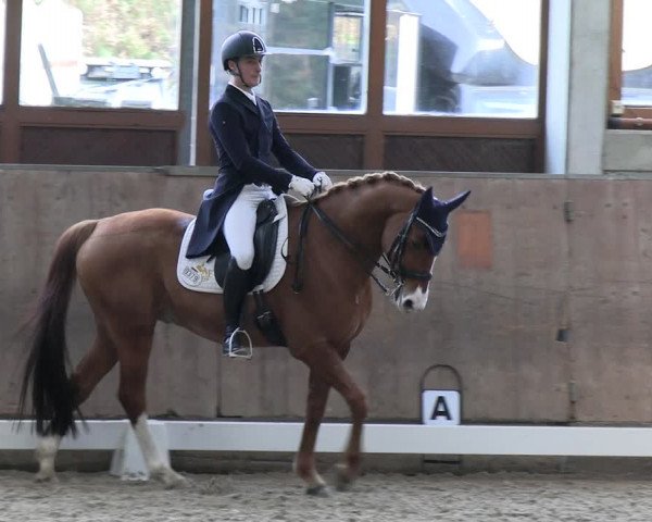 Reitturnier Leverkusen-Rheindorf 2024