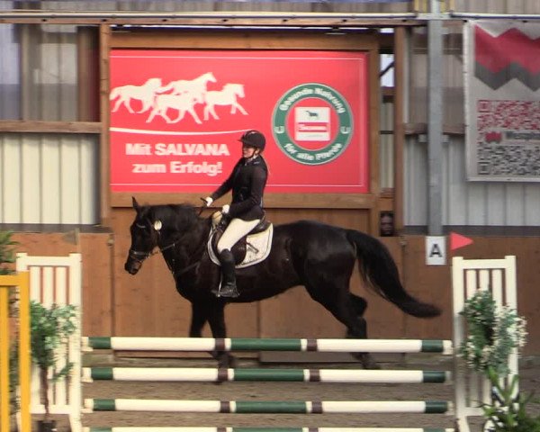 Reitturnier Schlieckau 2024