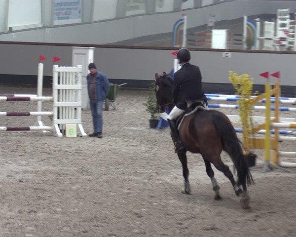 Reitturnier Münchehofe 2024