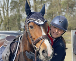 Springpferd Laffran Finale (Deutsches Reitpony, 2010, von Speyksbosch Nelson)