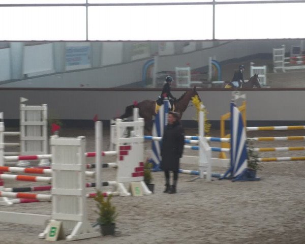 Reitturnier Münchehofe 2024