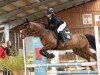 dressage horse Kennedy's Krack (German Riding Pony, 2008, from Kennedy WE)