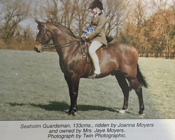 Pferd Seaholm Guardsman (Welsh Pony (Sek.B), 1989, von Kirby Cane Samphire)