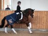 stallion Lettenhofs Earl of Love (German Riding Pony, 2011, from Dörnberg's Erimon II)