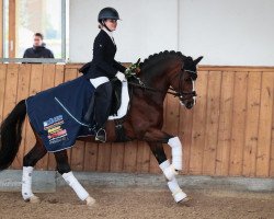 stallion Lettenhofs Earl of Love (German Riding Pony, 2011, from Dörnberg's Erimon II)