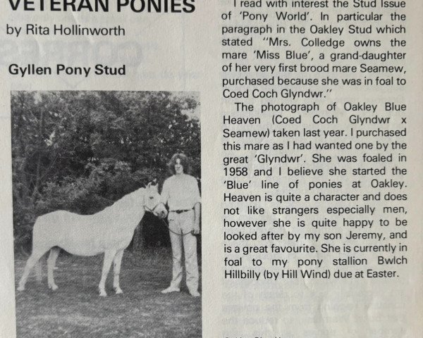 Zuchtstute Oakley Blue Heaven (Welsh Pony (Sek.B), 1958, von Coed Coch Glyndwr)