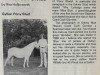 broodmare Oakley Blue Heaven (Welsh-Pony (Section B), 1958, from Coed Coch Glyndwr)