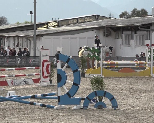 Reitturnier Giubiasco 2024