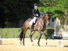 dressage horse Pramwaldhof's Bamboo (Oldenburg, 2014, from Beradini)