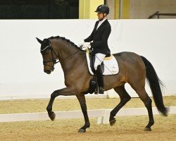 dressage horse Esdras (Oldenburg, 2019, from Escamillo)