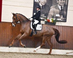 broodmare Weihtastic OLD (Oldenburg, 2017, from Totilas)