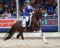 dressage horse Vitally Pch (Oldenburg, 2018, from Vitalis)