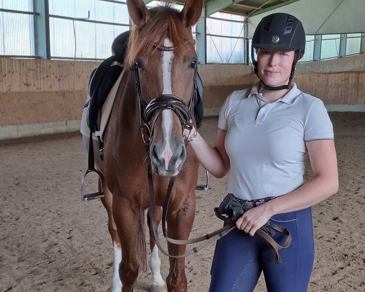 dressage horse Zuckerpuppe In Rosé Cr (Hanoverian, 2018)