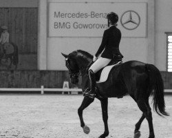 dressage horse Séverine OLD (Oldenburg, 2017, from Daily Deal)