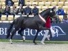 dressage horse Select Me (Hanoverian, 2021, from Secret)