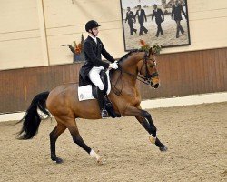 dressage horse Igorius (Rhinelander, 2013, from Instertanz V 241 FIN)