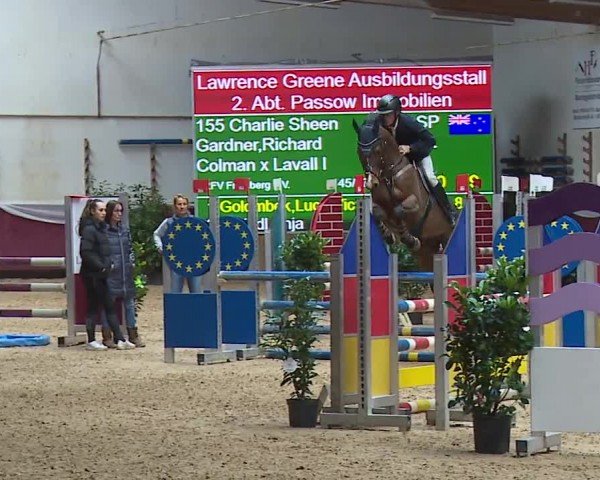 Reitturnier Eicherloh RH Laurent/Obb. 2024