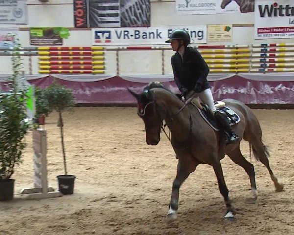 Reitturnier Eicherloh RH Laurent/Obb. 2024